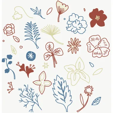 Plant31