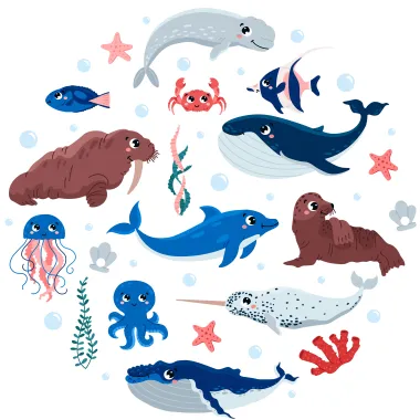 Animal6