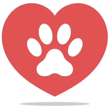 Pets41