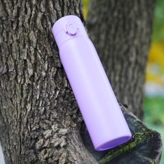 Vacuum Insulated Double Wall Stainless Steel Water Bottle with A Lock Button Lid