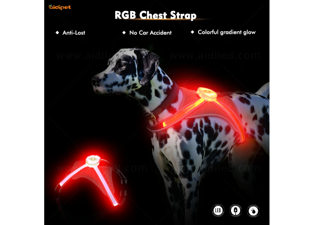 قلادة الحيوانات الأليفة الخفيفة RGB ذات المصداقية - فكرة هدية رائعة للحيوانات الأليفة