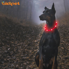 LED Fashion Dog Collar C3