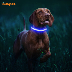 Collar para perros con luz LED C12