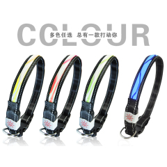 Collar para perros con luz LED C12