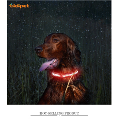 Collar para perros con luz LED C12
