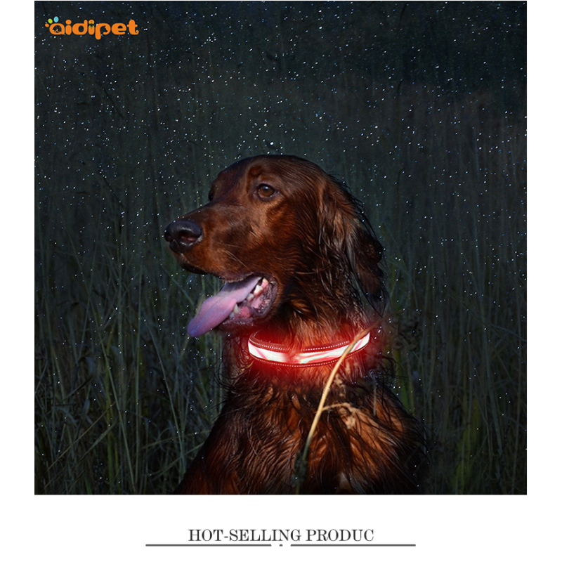 Wave Pattern Led Light Rechargeable Nylon Dog Collar LED Shining Dog Collar C12