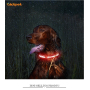 Wave Pattern Led Light Rechargeable Nylon Dog Collar LED Shining Dog Collar C12