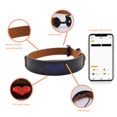Collar de moda para perros Magic Screen C24P