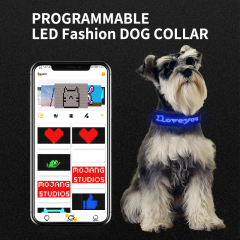 Collar de moda para perros Magic Screen C24P