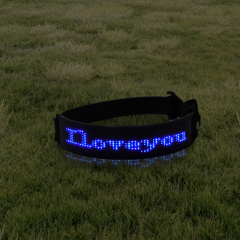 Collar de moda para perros Magic Screen C24P