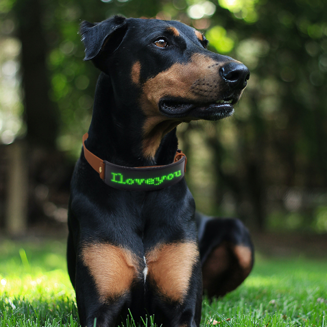 Led Programmable with Screen Display APP Control Anri-lost Led Dog Collar Magic Screen Fashion C24P