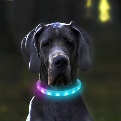 Collar LED RGB para perros C6
