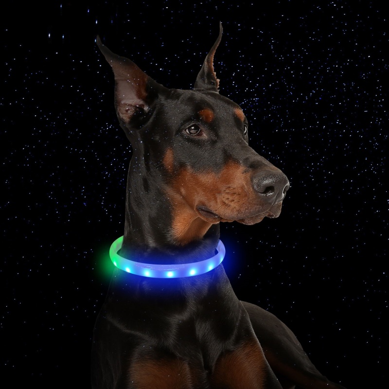Cool Light UP RGB LED Multi-color Light Pet Collar Custom Size Flashing Glowing In Dark C6