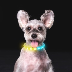 Collar LED RGB para perros C6