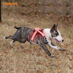 Harnais pour chien souple et rembourré à LED RVB H7
