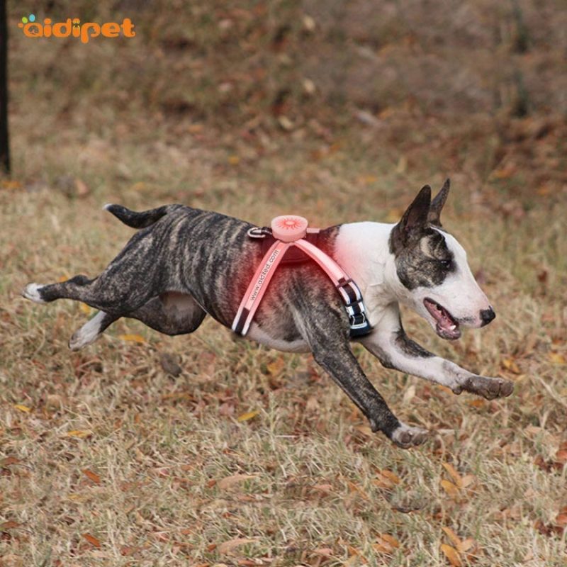 Soft Padded RGB Led Dog Harness H7