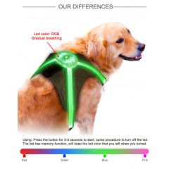 Harnais réfléchissant à LED pour chien H7P