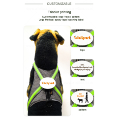 Reflective LED Dog Harness H7P