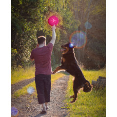 Juguete de frisbee de silicona con luz LED para perros M4-16CM