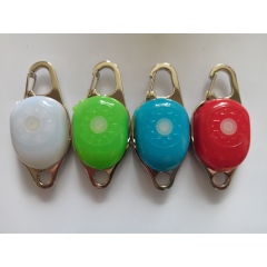 LED Fadou Dog pendant (star)  Q6