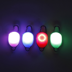 LED Fadou Dog pendant (star)  Q6