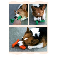 Karet Lingkungan Alami Dof Sikat Gigi Mainan untuk Anjing Kesehatan Gigi Sikat Gigi Tongkat untuk Mengunyah Anjing