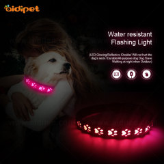 Colliers de chien lumineux AIDI avec lumière RVB Fabricant de gros de lumière de collier pour animaux de compagnie de batterie de grande capacité