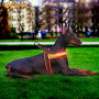 Mesh Dog Harness Soft Padded Durable Fashion Dog Harness Reflective Quick Fit Led Harness Dog Puppy