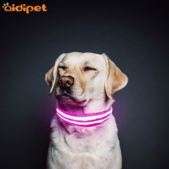 Meilleurs produits de vente en gros colliers de chien étanche clignotant Led collier de chien mode fantaisie collier de chien de compagnie lumière