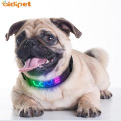 Le TPU a mené le collier de chien clignotant attrayant de collier de chien de mode d'affichage rechargeable d'USB de colliers de chien intelligents