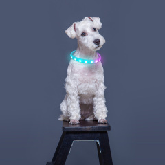 Silicona suave Arco de lluvia Color Led Luz de alta calidad Collares para perros Mascotas Impermeable RGB LED Perro Collares para mascotas