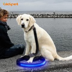 Collier de laisse de chien LED en nylon de bonne qualité maille respirant clignotant nuit éclairé laisse de chien