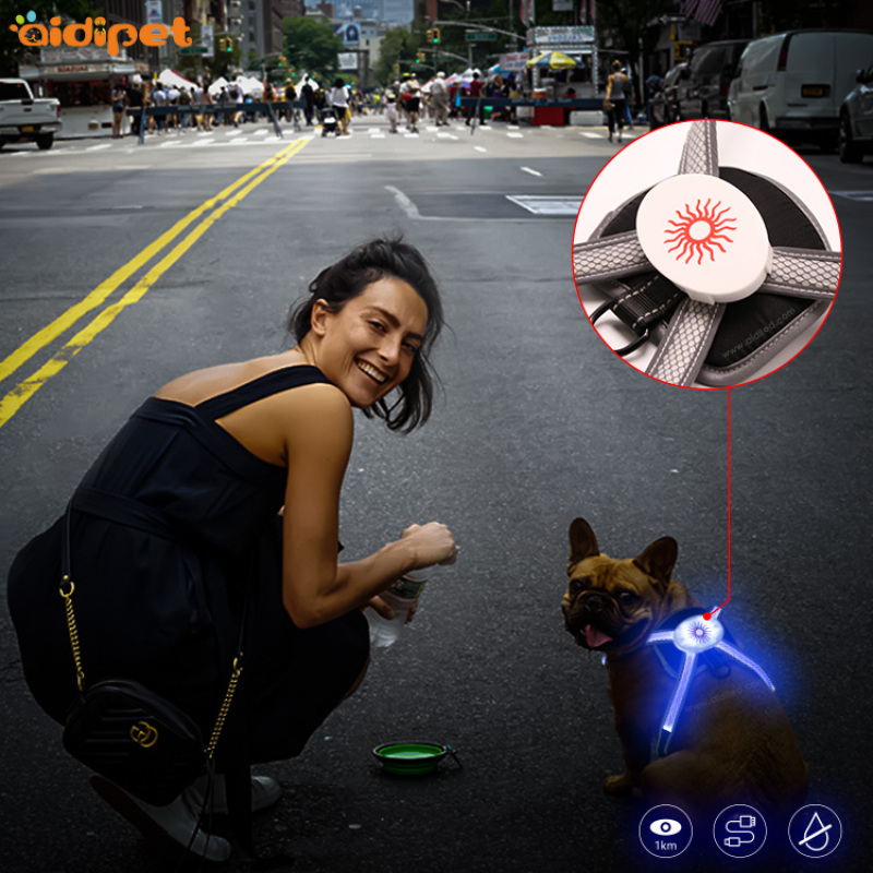 Led Light Reflective Nylon Soft Dog Harness For Walking Training Light up Dog Harness with RGB Light