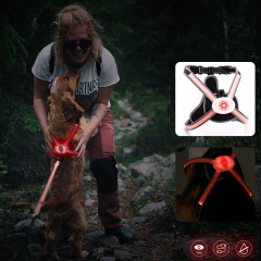 Harnais LED clignotant RVB réversible pour chiens gilet de harnais de lumière LED coloré pour la sécurité nocturne