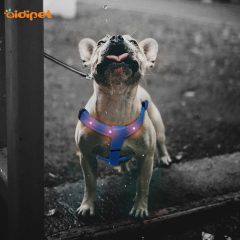 مقود الحيوانات الأليفة تسخير RGB وامض قوي الكلب تسخير شعار مخصص مع متعدد الألوان تضيء الكلب تسخير مضيئة