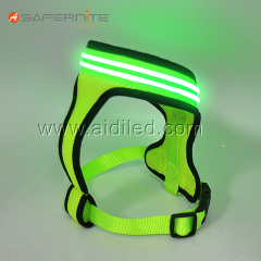 Harnais de chien de conception attrayante de mode 2021 avec la lumière menée de harnais de chien de compagnie de fibres optiques