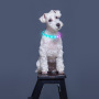 Best Seller Flashing Pet Dog Collar with USB Cable Rechargeable Silicone RGB Light Collar