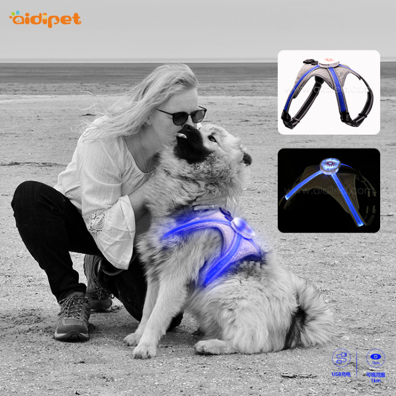 Customized Personalized Most Popular Soft Dog Harness Led Breathable Light up Dog Harness Custom