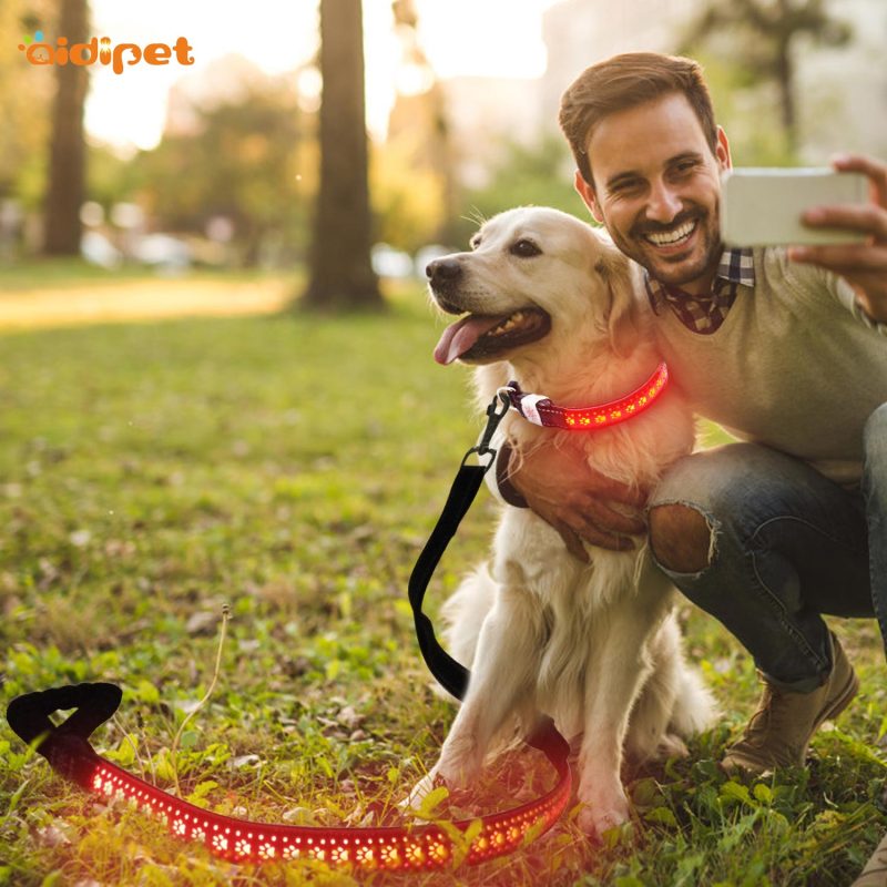 Hollow Printing Led Light Dog Leash Flashing PU Dog Leash Leather Luminous glow up dog Led Leash