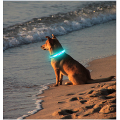 15 Jahre Fabrik blinkendes Nylon-LED-Hundehalsband für Hunde, Katzen, im Dunkeln leuchtendes, wiederaufladbares Hundehalsband, leichte Masse