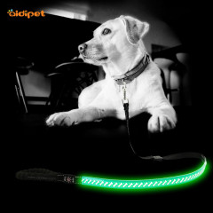 Collier et laisse de chien LED clignotants AIDI Laisse de chien éclairée Laisse rechargeable en cuir PU Leash Dog