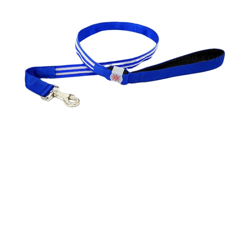 Dogs Leash For Dogs Strong Dual Handle Bungee Hands