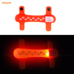 Guinzaglio per cani resistente all'acqua Luce per guinzaglio per cani di sicurezza Accessori per guinzagli per cani a LED