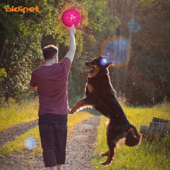Luminous Light up Led Flying Disc untuk Pet Dog Play Ramah Lingkungan Silicone Flashing Dog Pet Disc Terbang
