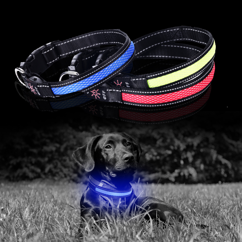 Fashion Mesh Luminous Led USB Dog Collar Nylon Webbing  Rechargeable Night Safety Pet Collar