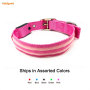 Pet Supplies Nylon Led Dog Collars Leashes Night Safety Collar for Pet Dog Cat Puppy  Luminous Collar led