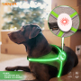 Kundenspezifisches Logo-Hundegeschirr mit RGB-einstellbarem LED-Hundewesten-Geschirrlicht für die Sicherheit von Haustieren bei Nacht