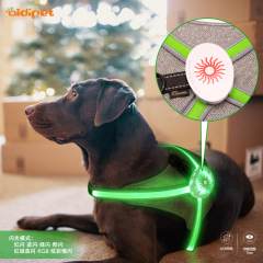 Harnais de chien avec logo personnalisé avec lumière de harnais de gilet de chien LED réglable RVB pour la sécurité nocturne des animaux de compagnie