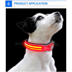 Grosir Glow Led Dog Collar Produk Hewan Peliharaan Dog Cat Light Led Kualitas Baik Nylon Dog Collar and Leash Lights