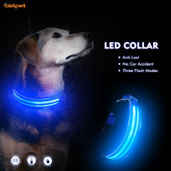 Atacado Glow Led Dog Collar Produtos para Animais de Estimação Dog Cat Light Led de boa qualidade Nylon Dog Collar e Leash Lights